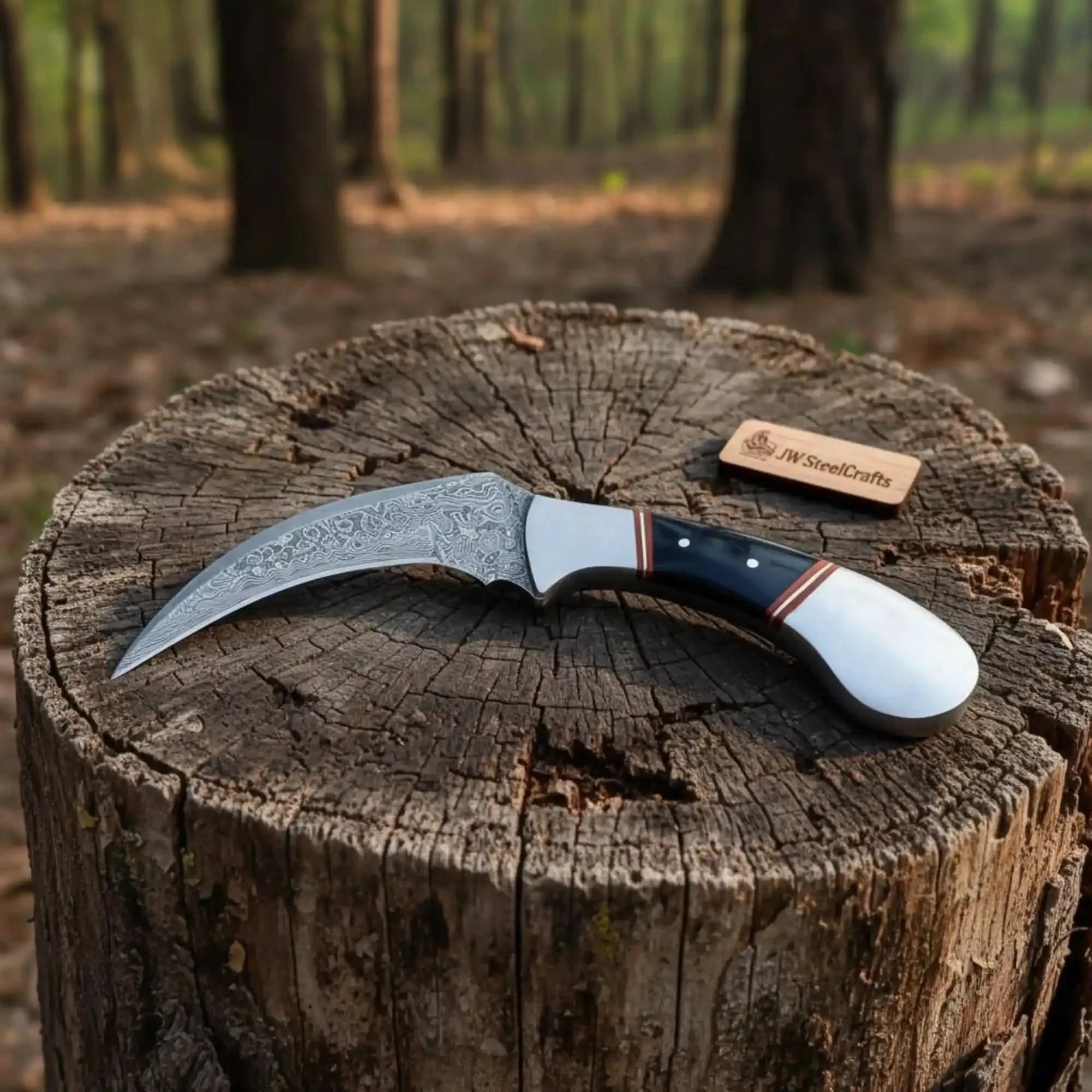 Karambit Knife with Black horn and Stainless steel handle. by JW SteelCrafts, Damascus knife main product photo