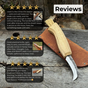 Mushroom Knife with Brush For Harvesting, 7.5 cm (2.95 inches)