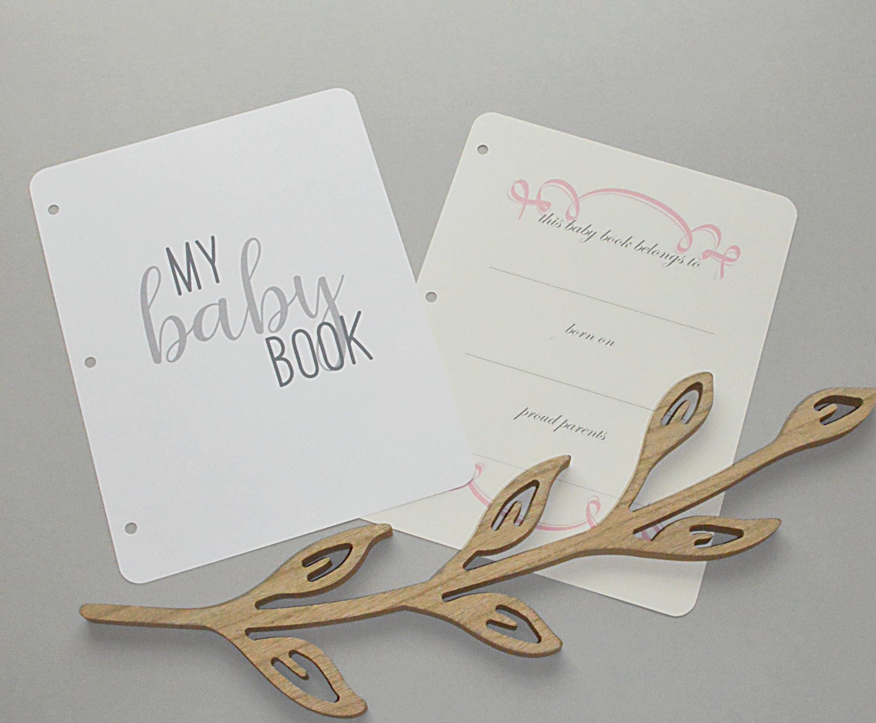 Baby Memory Book - Blush Silk (w/ SILK Bow)