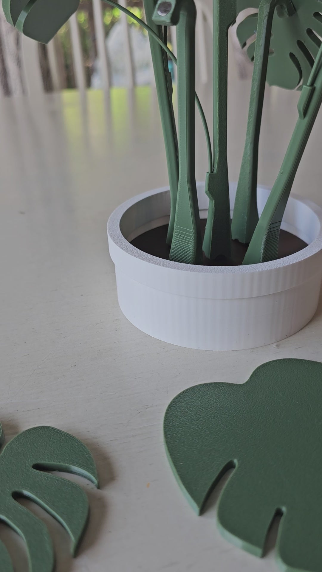 The Tween Space Monstera Coaster Set — Tropical Leaf Coasters with Display Holder | 3D Printed