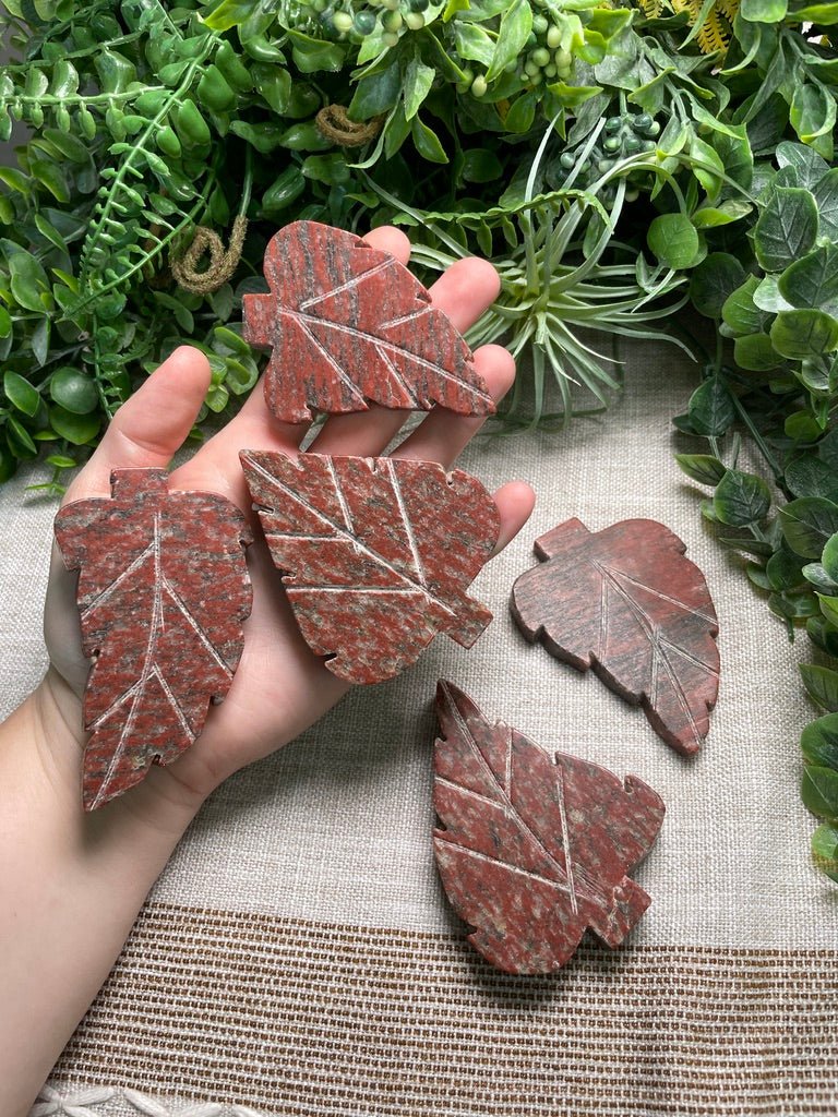 Red Que Sera Leaf