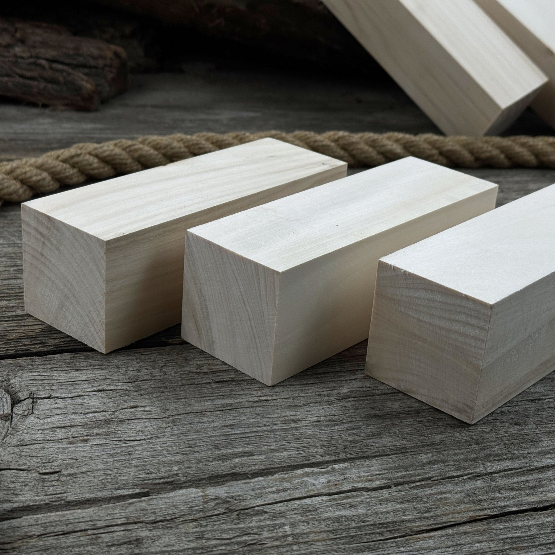Set of 6 Large Linden Wood Carving Blanks