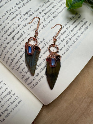 Sharks Teeth and Moonstone Earrings
