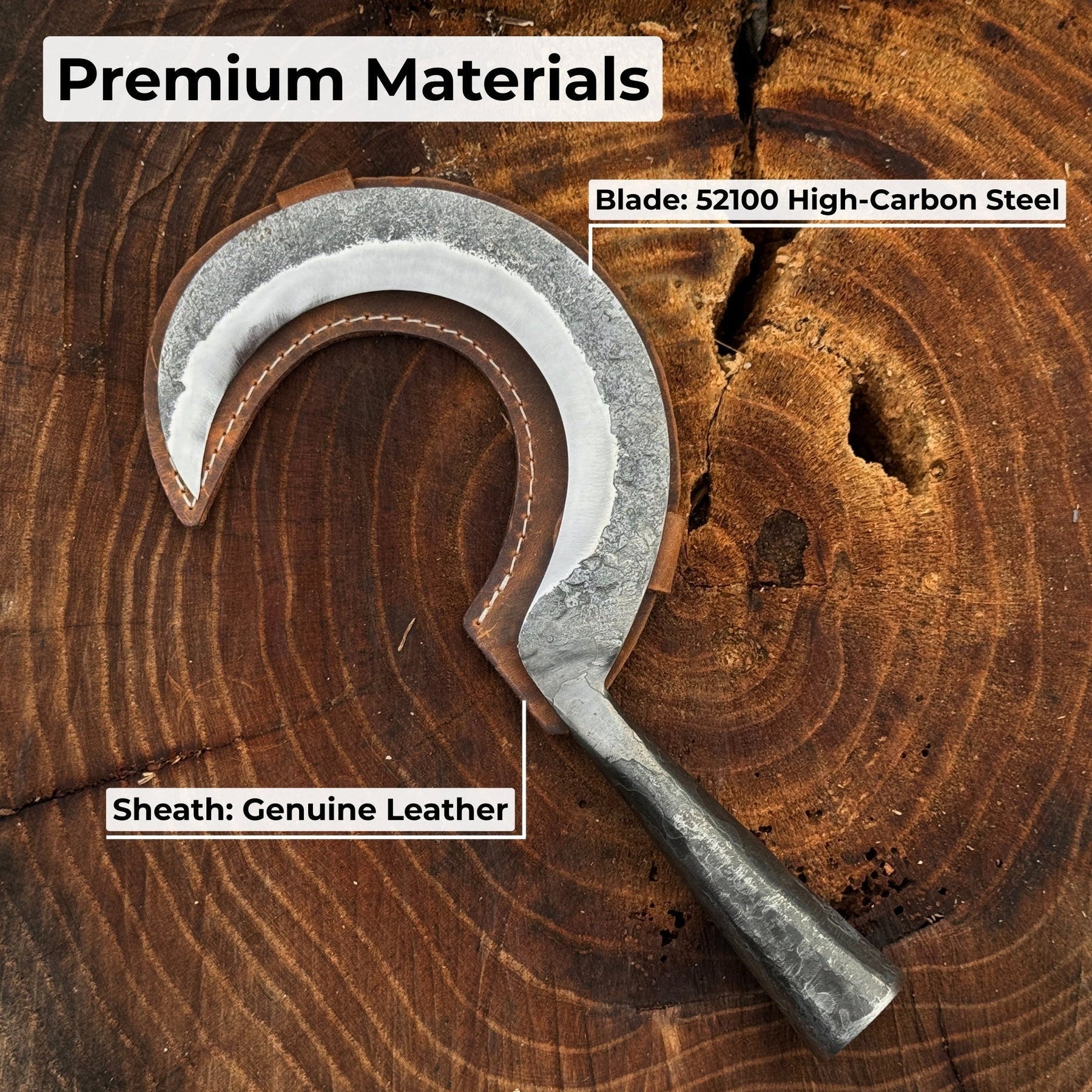 Small Sickle with Forged Handle, 9 cm (3.54 inches)